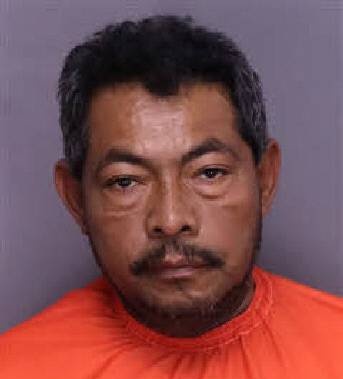 Adonis Alvarado mugshot