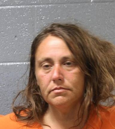 Mugshot of Alicia Larson