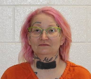 Amanda Lashbrook mugshot