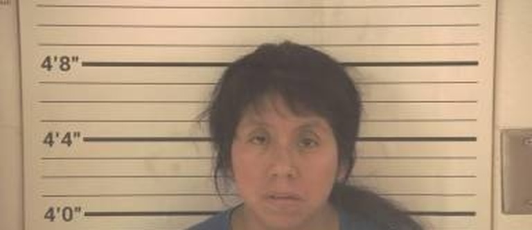 Ana Coronado mugshot