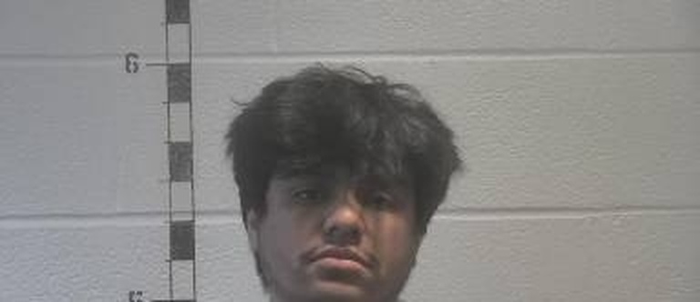 Andrew Ortega mugshot