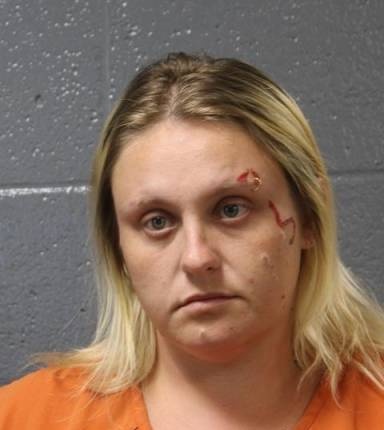 Mugshot of Andreya Price