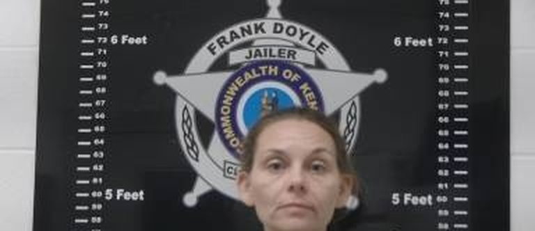 Anica Santiago mugshot