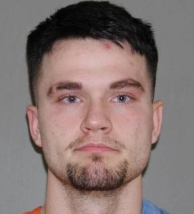 Artis Clements mugshot