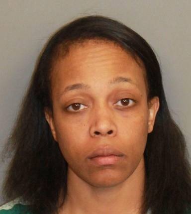 Ashley Hollis mugshot