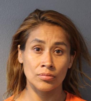 Mugshot of Aysil Alday-Rios