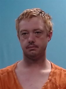William Alan Darnaby mugshot