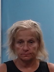 Deana Felicia Pellham mugshot