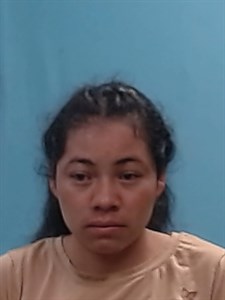 Olga Giron-Lopez mugshot