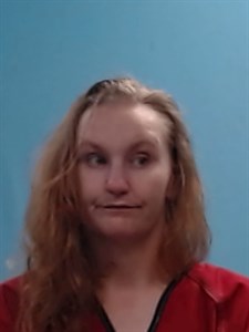 Sylvia Yvonne Reeves mugshot