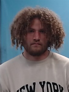 Devin Tyler Williamson mugshot