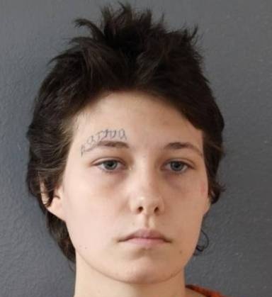 Mugshot of Brooklyn Walker