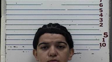 Carolyn Torres mugshot