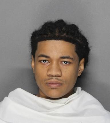Chris Hamilton mugshot