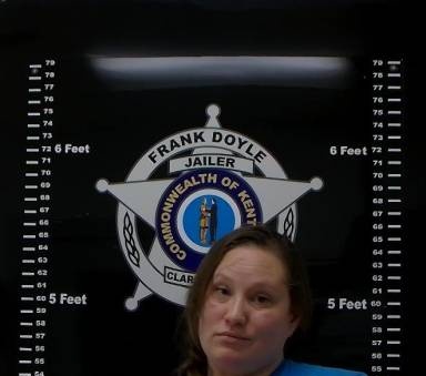 Christina Arvin mugshot