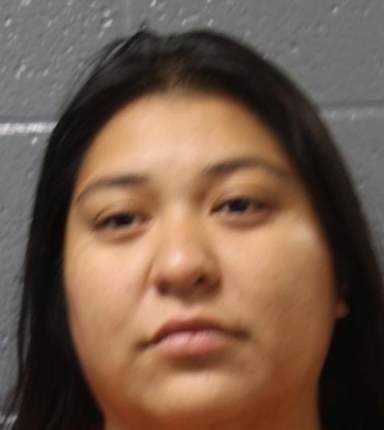 Mugshot of Christine Williamson