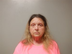Karen Sue Siegel mugshot