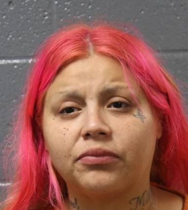 Mugshot of Cynthia Cirlos