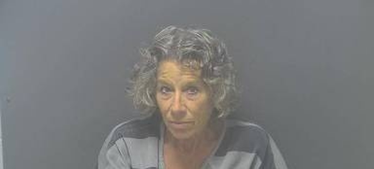 Cynthia Johnson mugshot