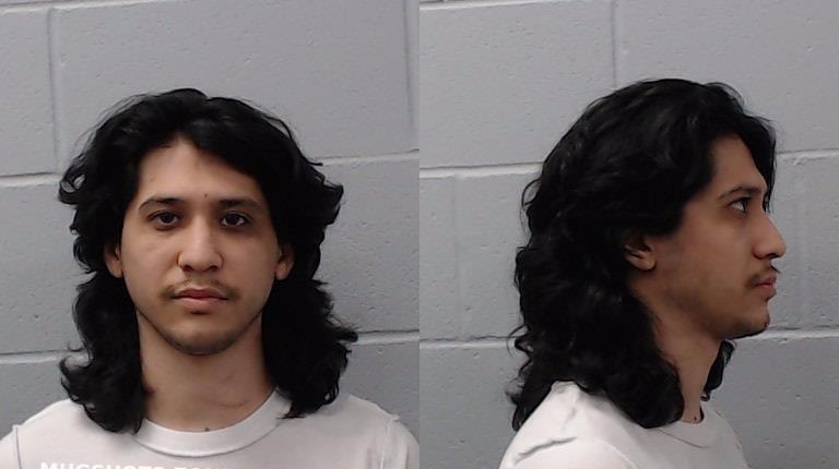 DELALUZ JOEL mugshot