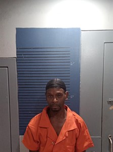 Henry Lee Brazil mugshot