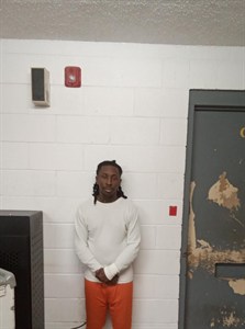 Jaiden E Fowler mugshot