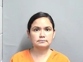Ashley Renee Dominguez-Gray mugshot