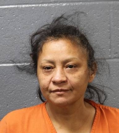 Mugshot of Damary Pineda-Aparicio