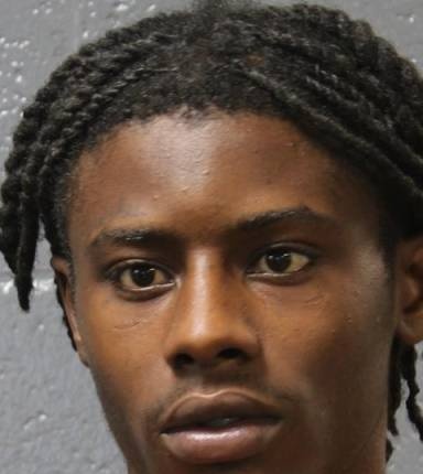 Mugshot of Damavrien White