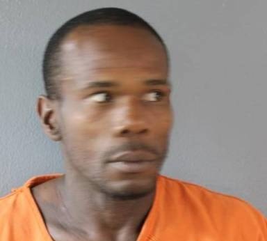 Mugshot of Darcy McCarty