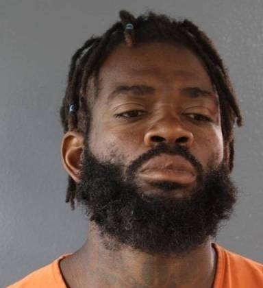 Mugshot of Darrice Reid