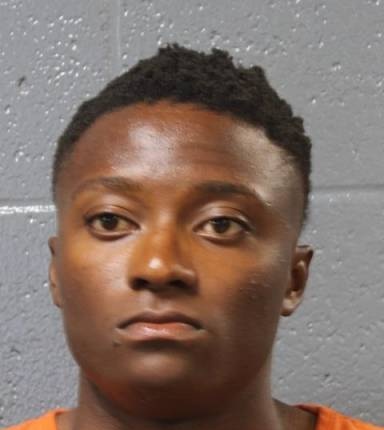 Mugshot of David Harmon