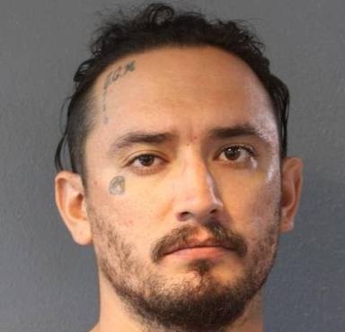 Mugshot of David McDaniel