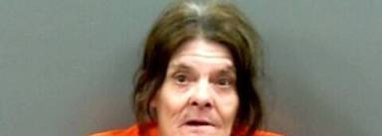 Debra Hayes mugshot