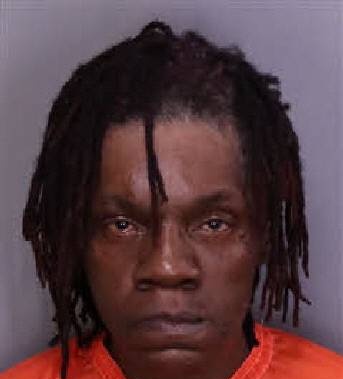 Denise Hicks mugshot