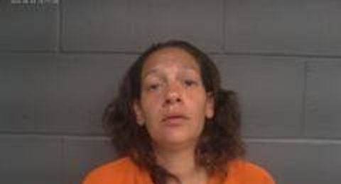 Desirea Brouwer mugshot