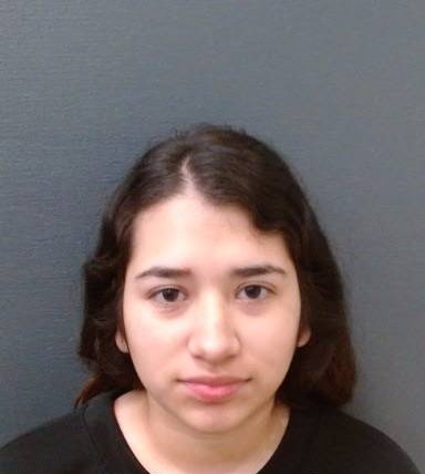 Destiny Moreno mugshot