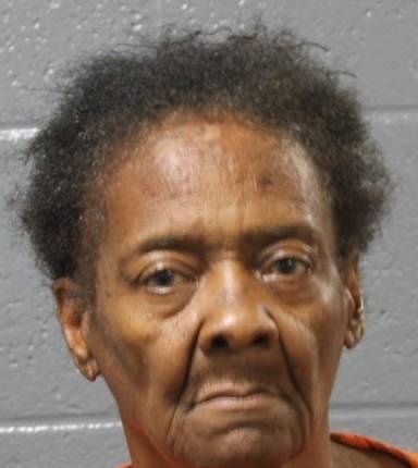 Mugshot of Diana Johnson