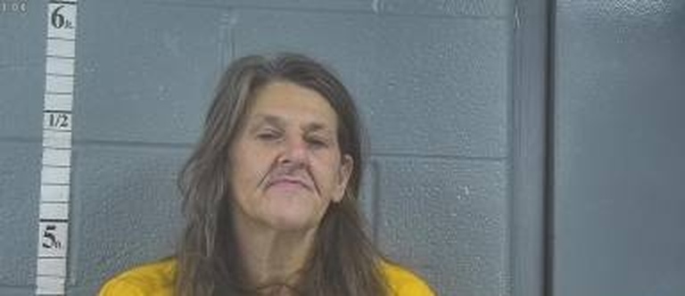 Diana Stump mugshot