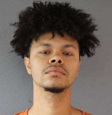 Mugshot of Divinice Jamerson