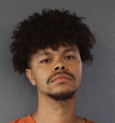 Mugshot of Divinice Jamerson