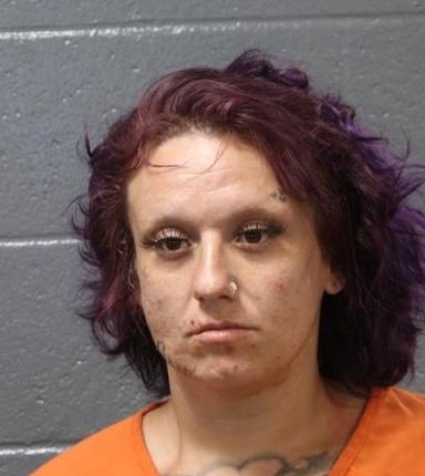 Mugshot of Dixie Shirley