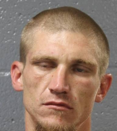 Mugshot of Dylan McGee