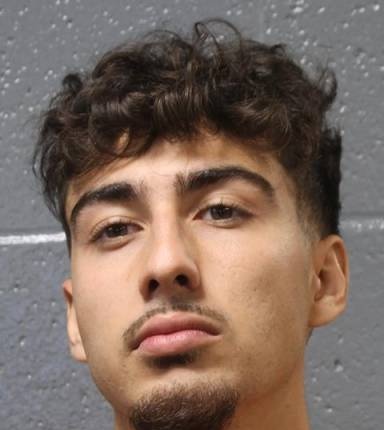 Mugshot of Efran Hosseini