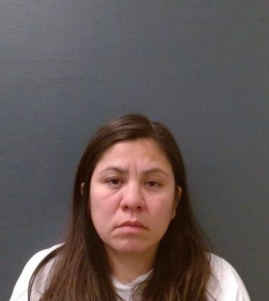 Emelia Ugarte mugshot