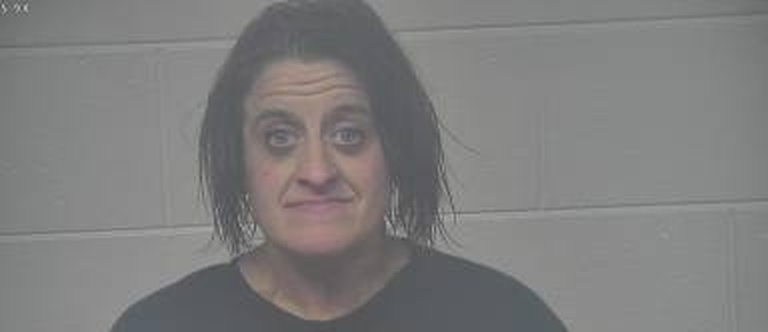 Emily Henson mugshot