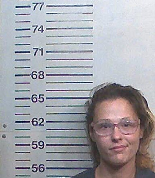 FENNER DANICA NOELLE mugshot