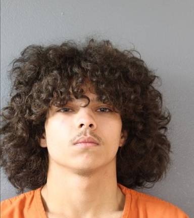 Mugshot of Fabien Guerra