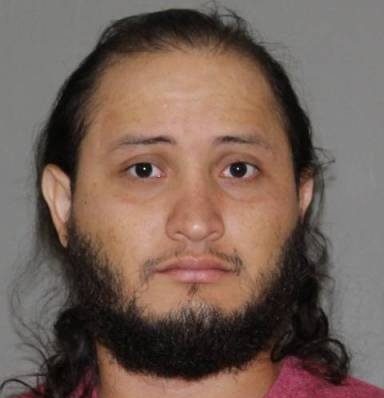 Fabio Hernandez-Meza mugshot