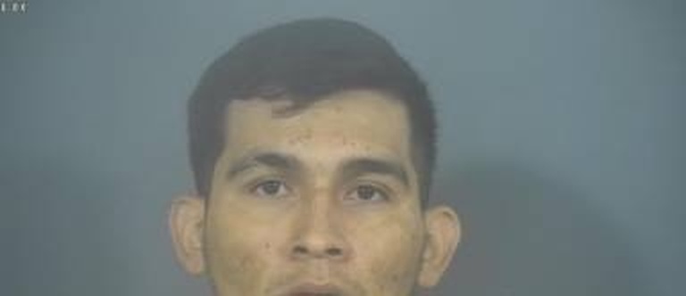 Flavio Perez mugshot